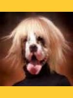Image de Petsman