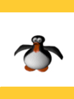 Image de Bébé Pingouin 