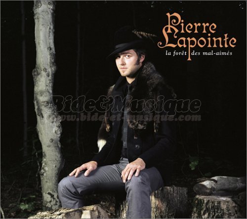 Pierre Lapointe - Deux par deux rassemblés