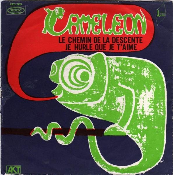 Cam�l�on - Le chemin de la descente