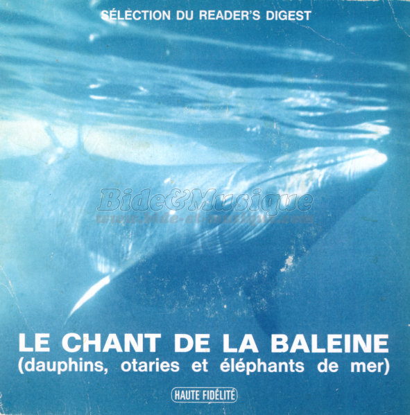 Le chant de la baleine - Le dauphin, l'�l�phant de mer et l'otarie