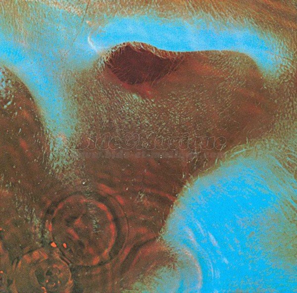 Pink Floyd - Seamus