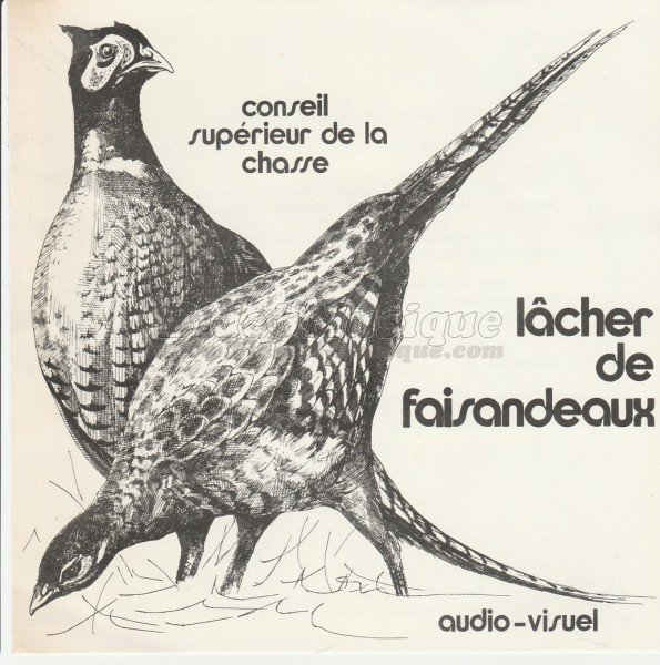 Conseil supérieur de la chasse - Lâcher de faisandeaux (Face B)