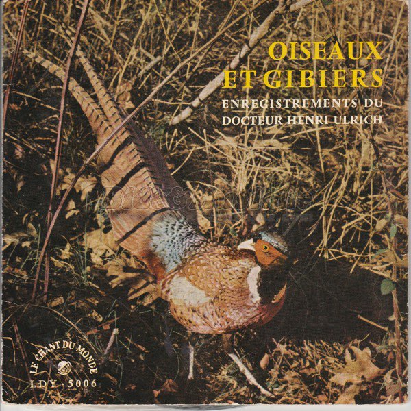 Oiseaux et gibiers - Face A