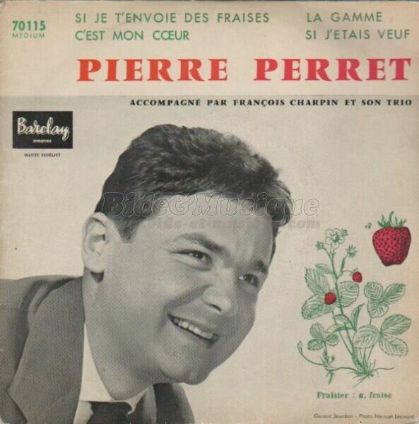 Pierre Perret - Si j'�tais veuf