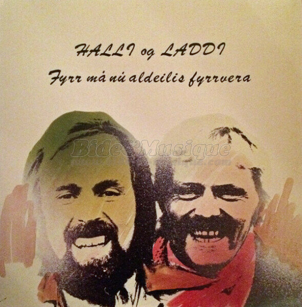 Halli og Laddi - 8x4