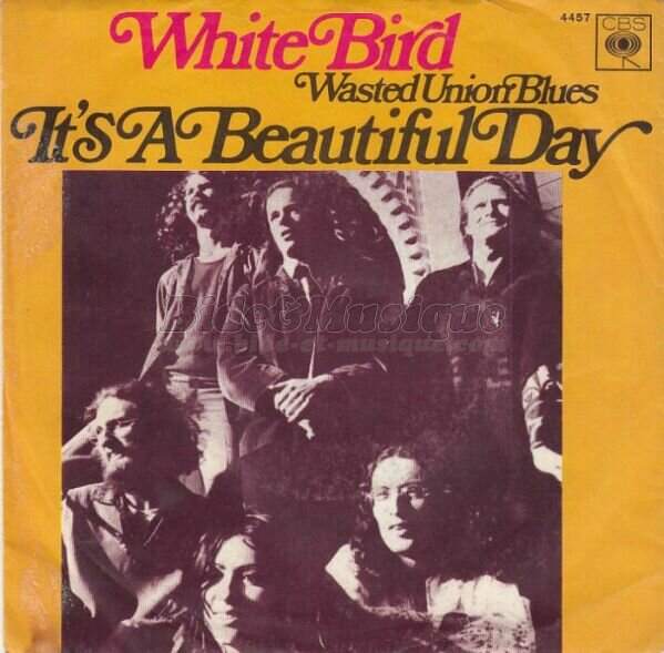 It's a beautiful day - White Bird