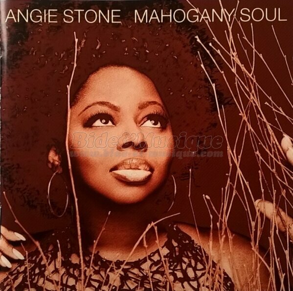 Angie Stone - Wish I didn't miss you