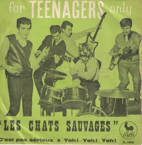 Chats Sauvages, Les - Rock'n Bide