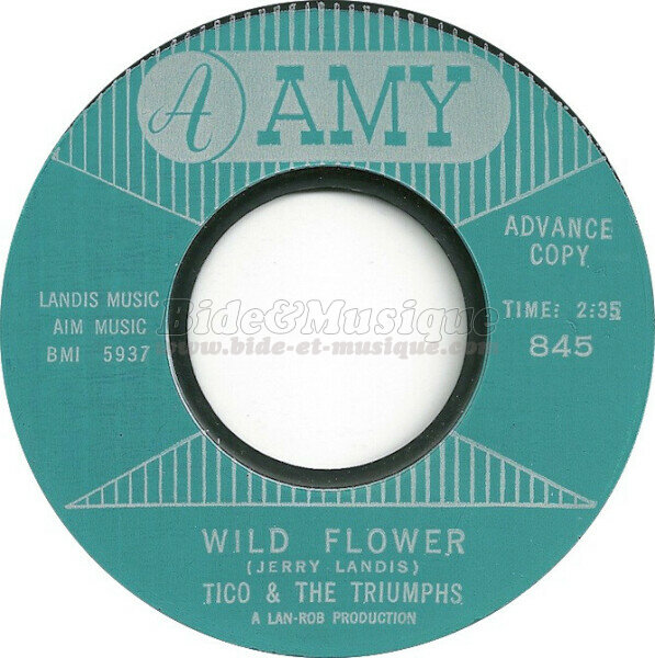 Tico and the Triumphs - Wild flower