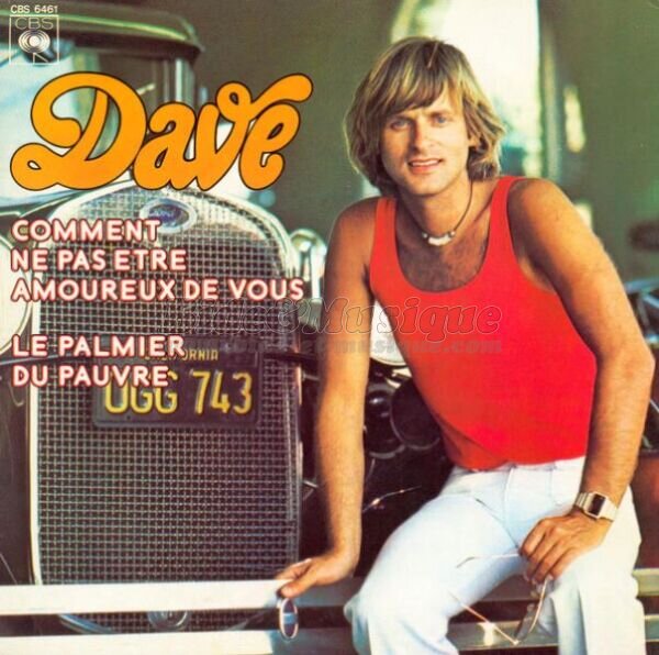 Dave - Sous le palmier du pauvre