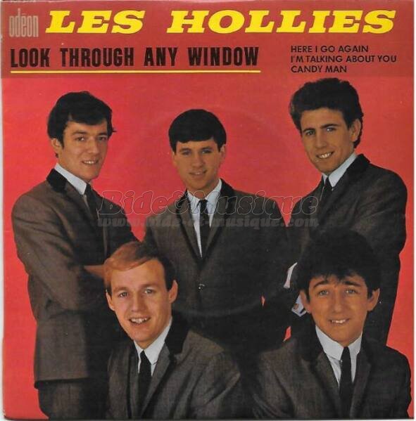 The Hollies - Look through any window
