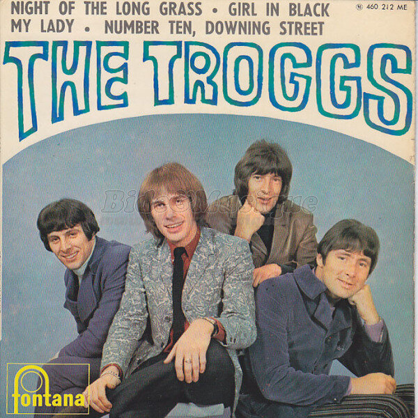 The Troggs - Night of the long grass