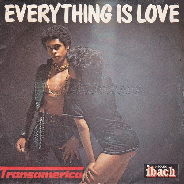 Transamerica - Everything is love