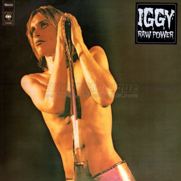 Iggy & The Stooges - Your pretty face is going to hell