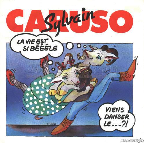 Sylvain Caruso - La vie est si b���le