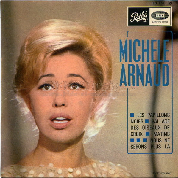 Michèle Arnaud - Les papillons noirs