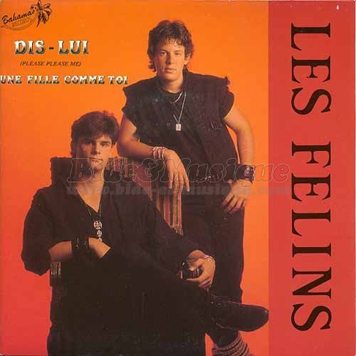 Les Félins - Dis-lui