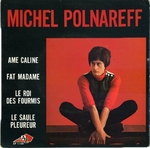 Michel Polnareff - Le saule pleureur