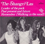 The Shangri-Las - Remember (walking in the sand)