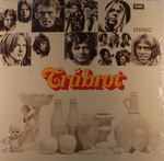 Tr�brot - Hlusta�u � regni�