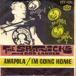 The Spotnicks - I'm going home