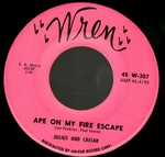 Julius and Caesar - Ape on my fire escape