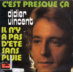Didier Vincent - C'est presque ça