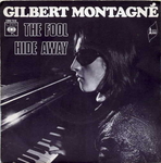Gilbert Montagn� - The fool
