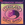Vignette de Starland Vocal Band - Afternoon Delight