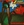 Vignette de ZZ Top - Legs