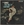 Vignette de Sheldon Allman - Crawl out through the fallout
