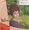 Vignette de Milva - Forza Bide & Musica