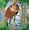 Vignette de Pocahontas - DisneyBide
