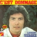 Pochette de Laurent Vergez - C'est dommage