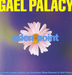 Vignette de Gaël Palacy - Eden point