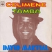 Pochette de David Martial - Célimène
