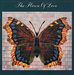 Pochette de The House of Love - Shine on