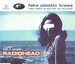 Vignette de Radiohead - Fake Plastic Trees