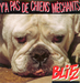 Pochette de Blitz - Y'a pas de chiens méchants