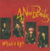Pochette de 4 Non Blondes - What's Up