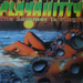 Pochette de Playahitty - The summer is magic
